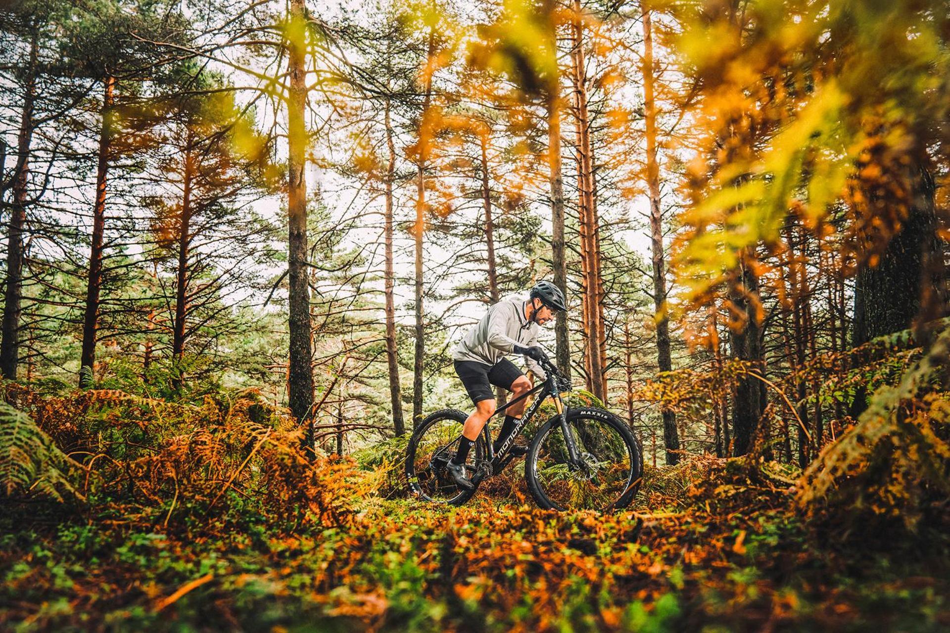 K1 Sporthotel - Bike & Ski Inklusive Hotel Oberwiesenthal Exteriör bild